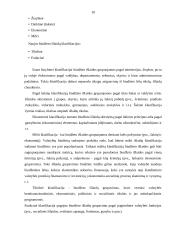 Valstybės biudžeto subalansavimo problemos 9 puslapis