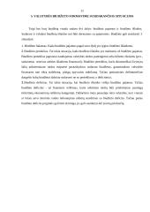 Valstybės biudžeto subalansavimo problemos 10 puslapis