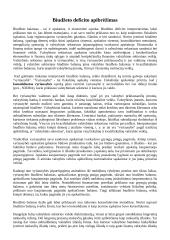 Valstybės biudžeto analizė 4 puslapis