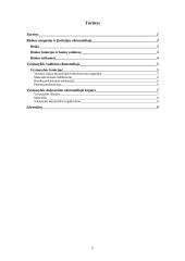 Valstybės ir rinkos vaidmuo ekonomikoje 2 puslapis