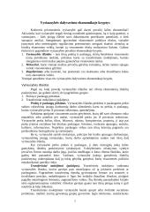 Valstybės ir rinkos vaidmuo ekonomikoje 7 puslapis