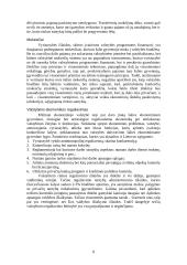 Valstybės ir rinkos vaidmuo ekonomikoje 8 puslapis