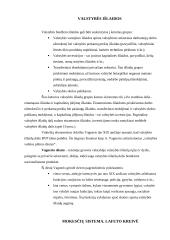 Valstybes pajamos ir išlaidos 2 puslapis