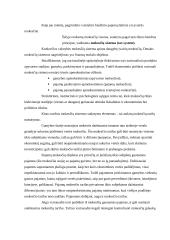 Valstybes pajamos ir išlaidos 3 puslapis