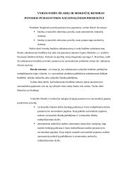 Valstybes pajamos ir išlaidos 7 puslapis