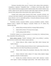 Valstybės skola: didėjimo ribos ir jos mažinimo būdai 7 puslapis