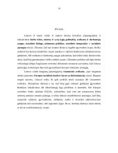 Valstybės socialinė politika 14 puslapis