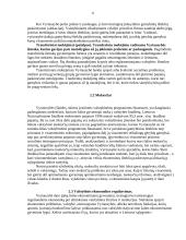 Valstybės vaidmuo Lietuvos ekonomikos raidoje 6 puslapis