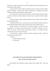 Valstybinio socialinio draudimo fondo biudžeto 2002-2007 metų išlaidų analizė 2 puslapis
