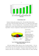 Valstybinio socialinio draudimo fondo biudžeto 2002-2007 metų išlaidų analizė 5 puslapis