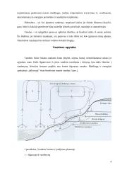 Vandens tarša ir svarba organizmams 3 puslapis