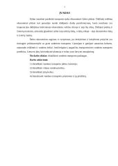 Vandens transporto paslaugos 2 puslapis