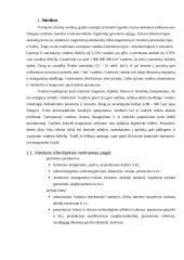 Vandens užterštumo vertinimas 4 puslapis