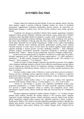 Vanduo - gyvybės šaltinis