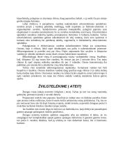 Vanduo - gyvybės šaltinis 12 puslapis