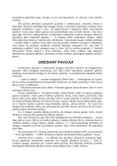 Vanduo - gyvybės šaltinis 3 puslapis