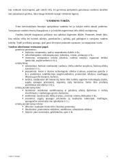 Vanduo ir žmogus 7 puslapis