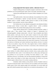 Varlės ir rupūžės 6 puslapis