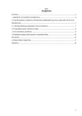 Vartojimo paskolų fiziniams asmenims sąlygų analizė 2 puslapis