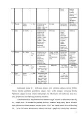 Vartojimo paskolų fiziniams asmenims sąlygų analizė 11 puslapis