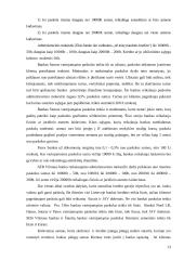 Vartojimo paskolų fiziniams asmenims sąlygų analizė 13 puslapis