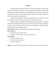 Vartojimo paskolų fiziniams asmenims sąlygų analizė 3 puslapis