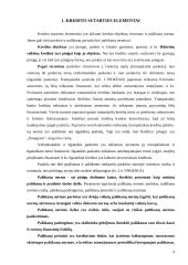 Vartojimo paskolų fiziniams asmenims sąlygų analizė 4 puslapis