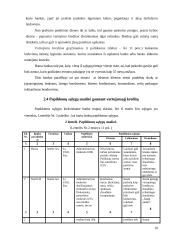 Vartojimo paskolų fiziniams asmenims sąlygų analizė 10 puslapis