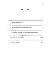 Vartotojų elgesį reguliuojantys veiksniai 2 puslapis