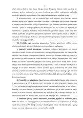 Vartotojų elgsena rinkos ekonomikoje 11 puslapis