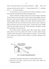 Vartotojų elgsena rinkos ekonomikoje 13 puslapis