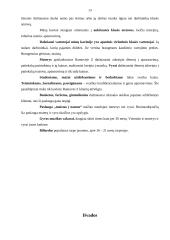 Vartotojų elgsenos analizė: kavinė–baras "Ramovė Z" 13 puslapis