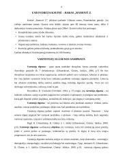 Vartotojų elgsenos analizė: kavinė–baras "Ramovė Z" 4 puslapis