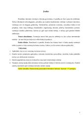 Vartotojų kuriamas turinys: nauda, taikymo galimybės ir veiksniai skatinantys vartotojus kurti 3 puslapis