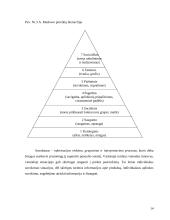 Vartotojų rinka ir poreikiai 14 puslapis