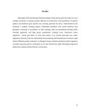 Vartotojų rinka ir poreikiai 15 puslapis