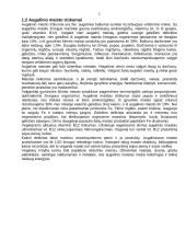 Vegetarinė mityba, jos privalumai bei trūkumai 4 puslapis