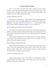 Veiklos analizė: grožio salonas IĮ "Banga" 4 puslapis