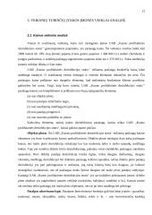 Veiklos analizė: UAB "Kauno profilaktinės dezinfekacijos stotis" 12 puslapis