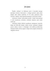 Veiklos planavimas ir organizavimas: AB "Audimas" 15 puslapis