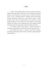 Veiklos planavimas ir organizavimas: AB "Audimas" 3 puslapis