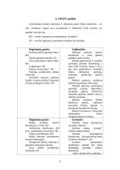 Veiklos planavimas ir organizavimas: AB "Audimas" 9 puslapis