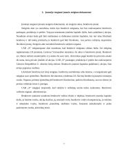 Veiklos principai krovinių pervežimo įmonės: UAB "X" 7 puslapis