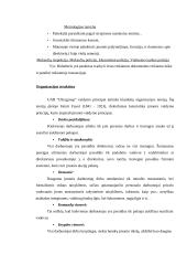Veiklos strategija: kavinė-baras UAB "Ultragroup" 13 puslapis