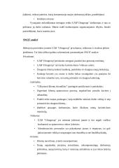Veiklos strategija: kavinė-baras UAB "Ultragroup" 15 puslapis