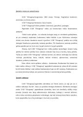 Veiklos strategija: kavinė-baras UAB "Ultragroup" 3 puslapis