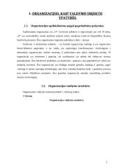 Veiklos valdymo analizė: siuvykla 4 puslapis