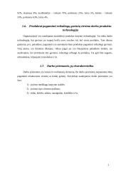 Veiklos valdymo analizė: siuvykla 6 puslapis