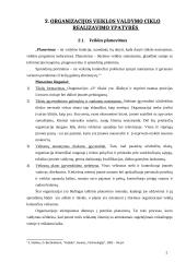 Veiklos valdymo analizė: siuvykla 7 puslapis
