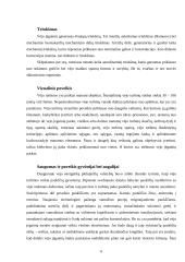 Vėjo energijos ištekliai 4 puslapis